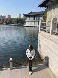 打卡荔灣湖公園 邂逅嶺南水鄉