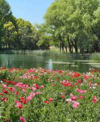 虎丘濕地公園
