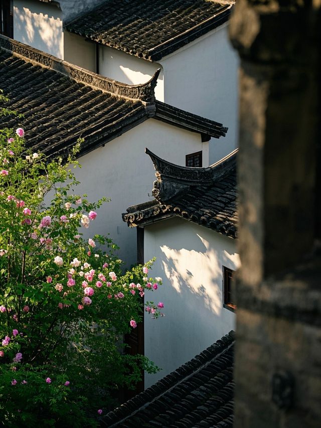 福州|能量低嘅人必逛嘅治癒之城