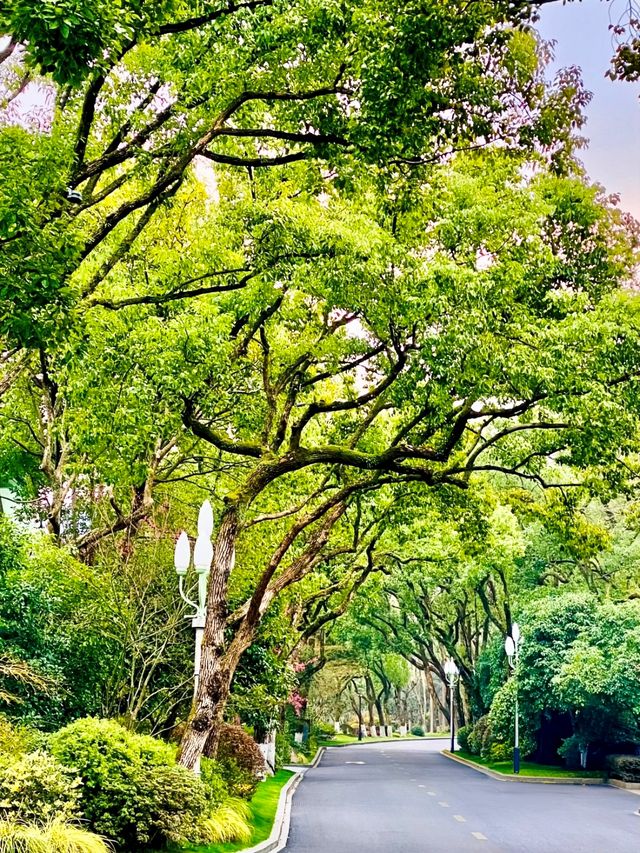 《浙江西子賓館：住進百年名莊的極致浪漫》