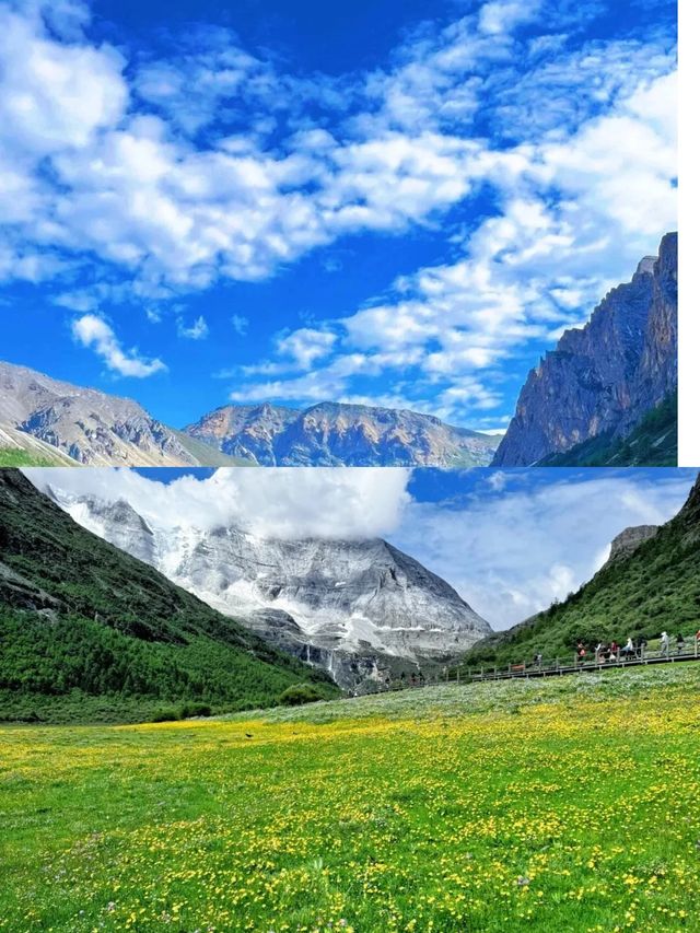 雪山同草原打交，你撐邊個？"