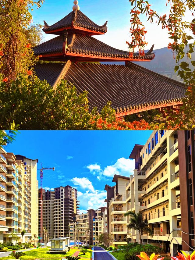 攀枝花以花係一座城，城係一朵花