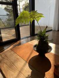 郴州莽山國家森林公園西門應該怎麼玩？