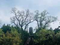 天水旅遊