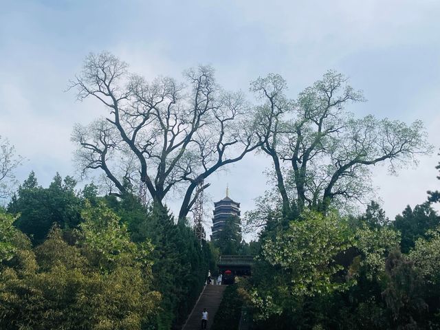 天水旅遊