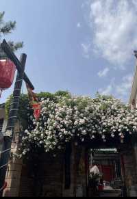 在山東被低估的寶藏古村，隱匿在山間的世外桃源