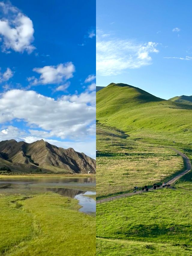 甘南｜桑科草原治癒我的每一瞬間