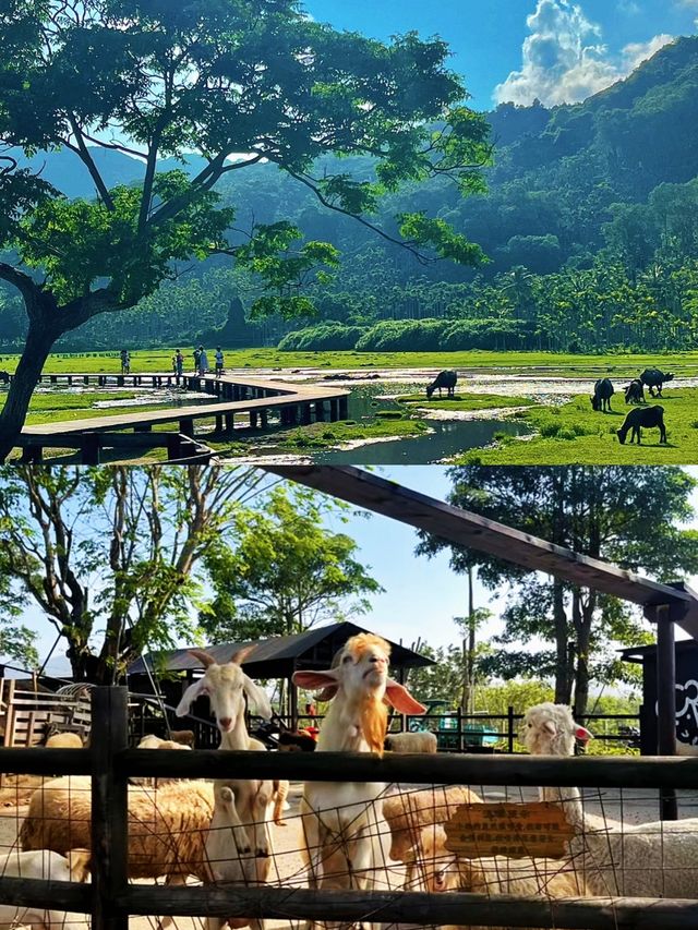 不是國外這裡是海南萬寧