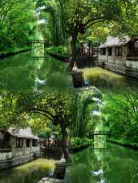 蘇州同里國家濕地公園/吸氧指南
