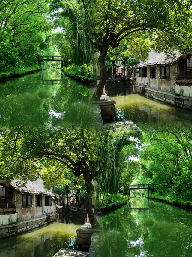 蘇州同里國家濕地公園/吸氧指南