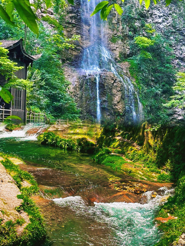 一個人去張家界！喺雲端遇到最治癒嘅風景