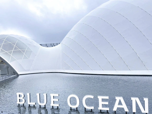 🌊大阪世博會blue ocean dome，絕美海洋之旅🌊