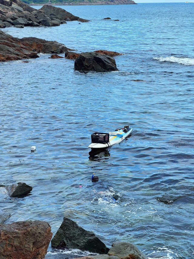 香港萬宜海蝕洞：海上探奇樂園