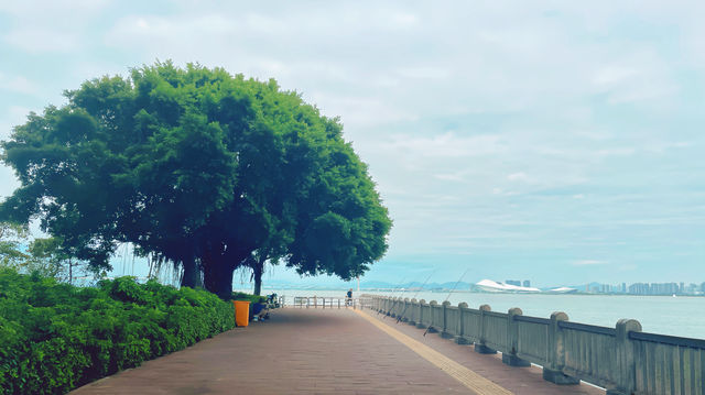 廈門寶藏住宿！住進自帶景點的度假天堂