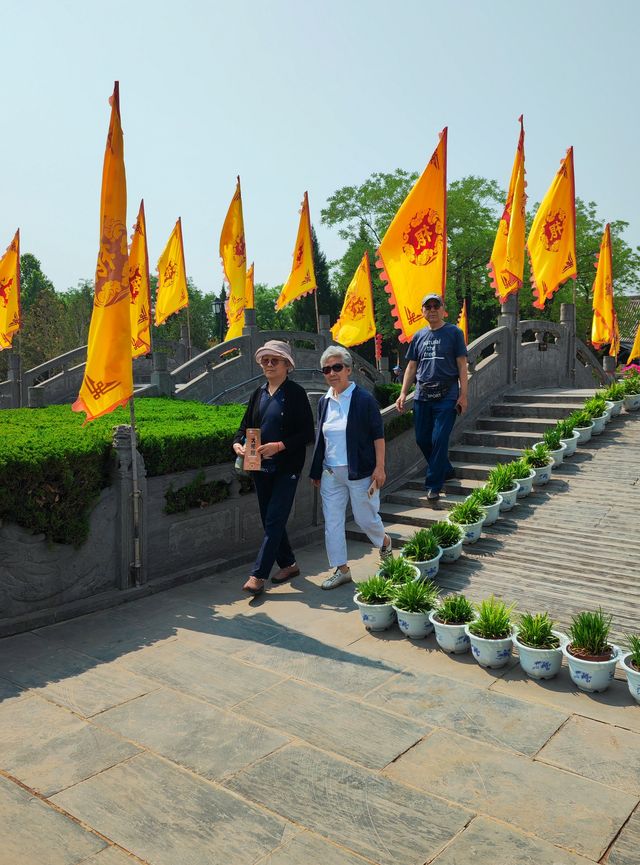 尋根大槐樹