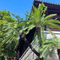 來香港玩？呢條靚到爆嘅小众路線快收藏！