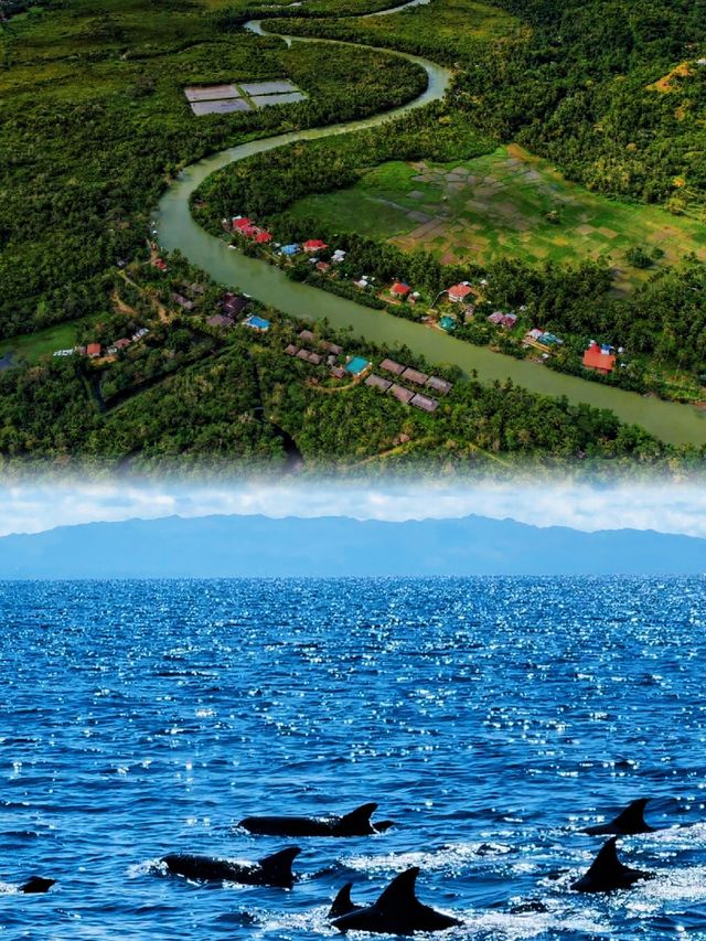美暈咗！平靚正又好玩嘅薄荷島跳島一日遊攻略