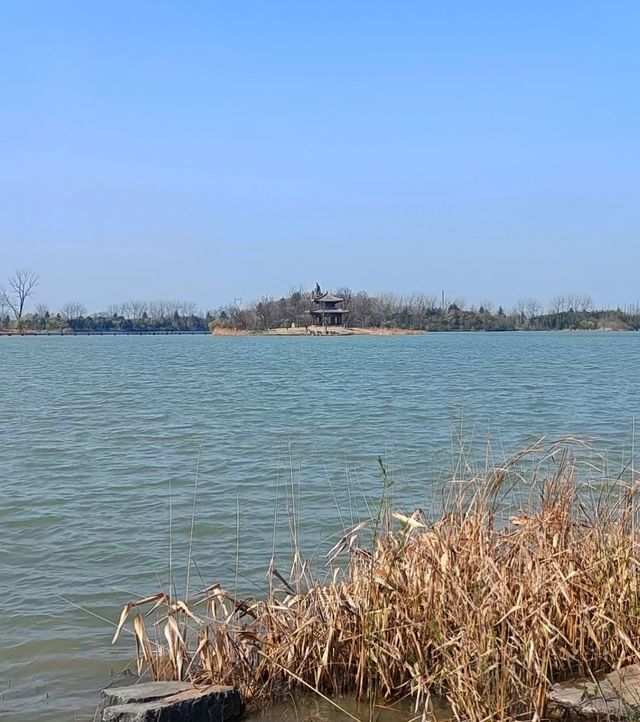 阜陽市