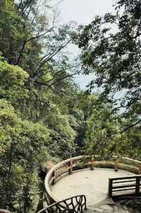 漳州鹅仙洞：山不在高有仙則靈