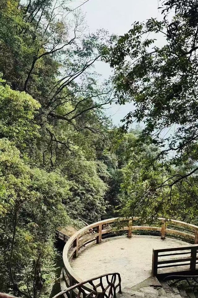 漳州鹅仙洞：山不在高有仙則靈