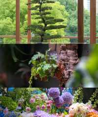 救命！上海市中心竟然隱藏咗個治癒系森林花園