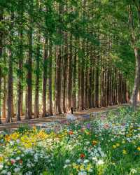益山秘境｜黃登庭院的花季治癒時刻
