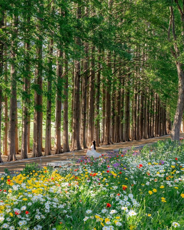 益山秘境｜黃登庭院的花季治癒時刻