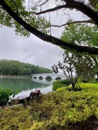 🌸 《夢回紅樓・上海大觀園》