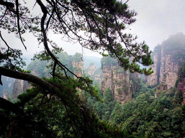 Mist-Kissed Mountains: Wulingyuan's Backpacker Hug