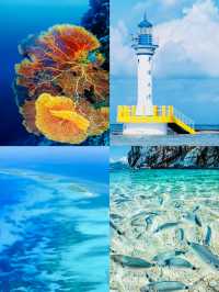 探索西沙群島｜邂逅人間仙境般的碧海珊瑚與靈動海龜