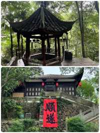 桐君山｜仙氣繚繞嘅江南藥祖秘境