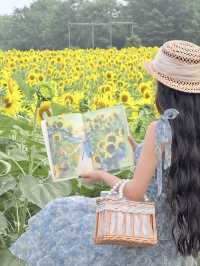 6.21直擊！美到窒息！免費夏日頂流向日葵花海盛開中🌻鮮熱出爐零濾鏡零修圖花況大公開！