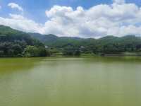 隱藏於白雲山麓嘅翡翠秘境