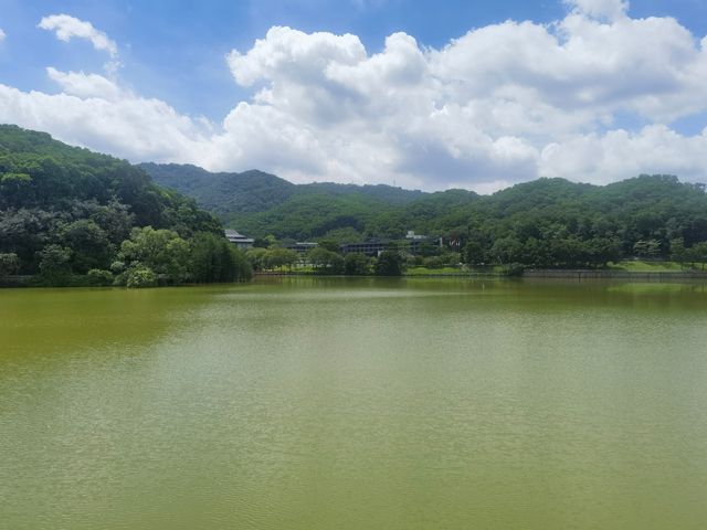 隱藏於白雲山麓嘅翡翠秘境