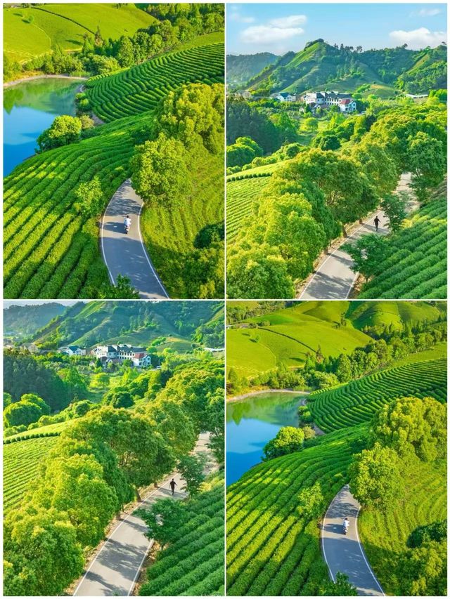 江浙滬避暑，4個小眾城市！涼快到不想走