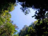 An Emerald Escape: Slow-mo Journey from Phuket to Phang Nga Bay National Park