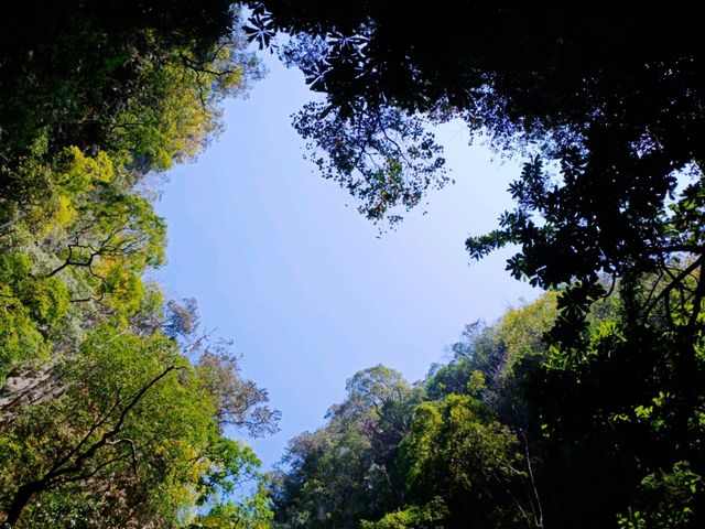 An Emerald Escape: Slow-mo Journey from Phuket to Phang Nga Bay National Park
