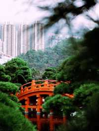 【香港の桃源郷】志蓮浄苑で心癒しの時間を』