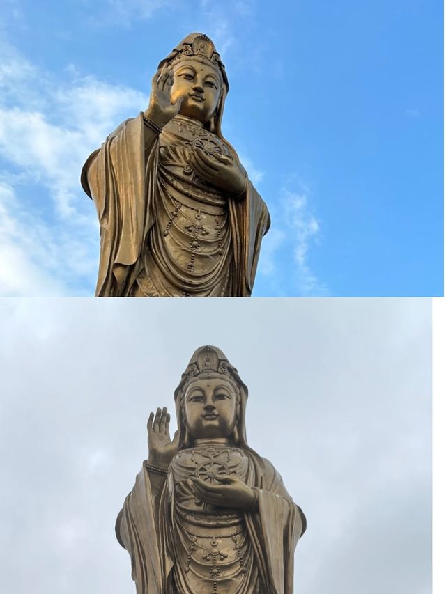 普陀山返嚟啦，講啲難聽嘅大實話
