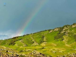 2 Days 1 Night Travel Guide to Zhaosu, Yili, Xinjiang - Reverse Tourism