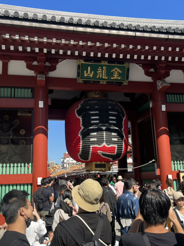 從輕井澤紅葉步道，到東京潮流地標，一趟靜與動的完美旅程