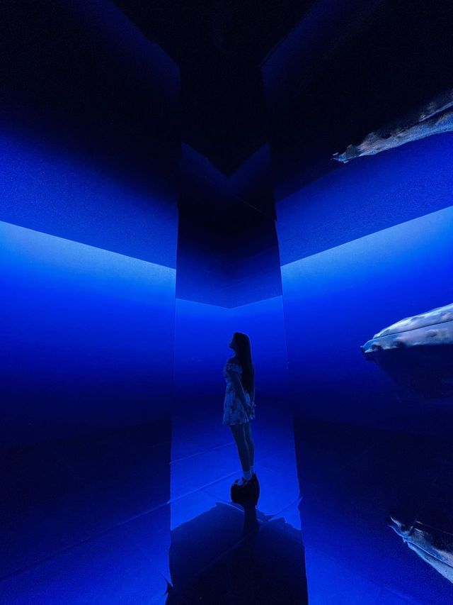 武漢夢幻地｜墜入深海夢境