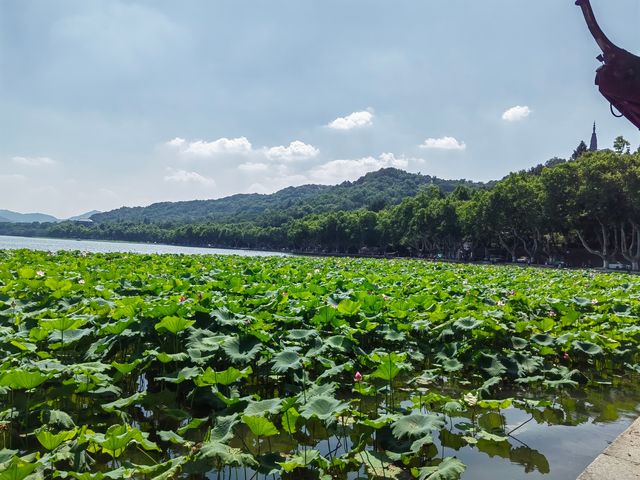 西湖