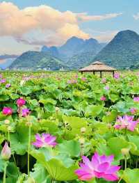 普者黑夏季保姆級旅遊攻略