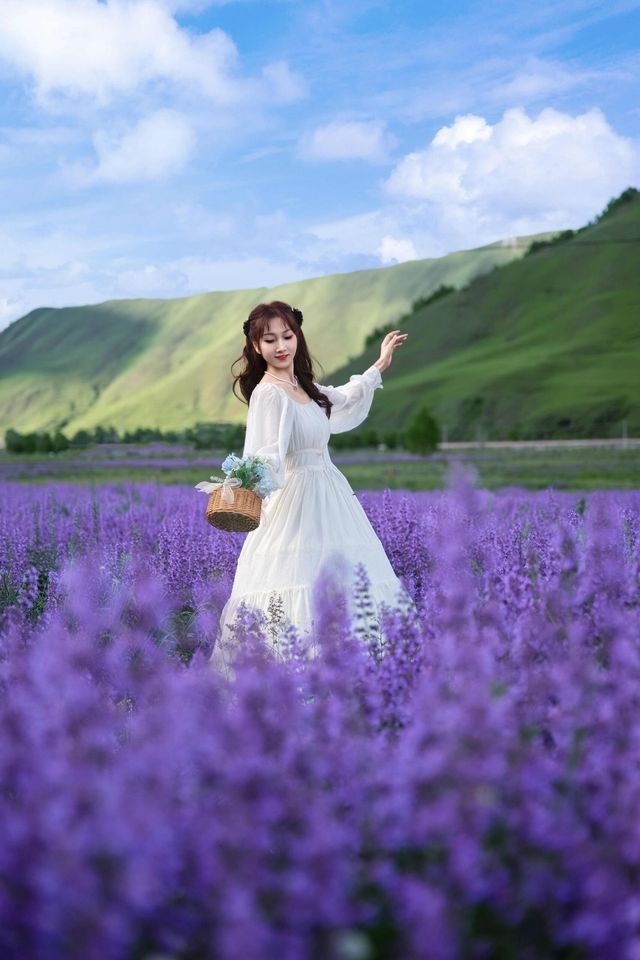 白裙與紫浪，薰衣草田裡的夏日情書