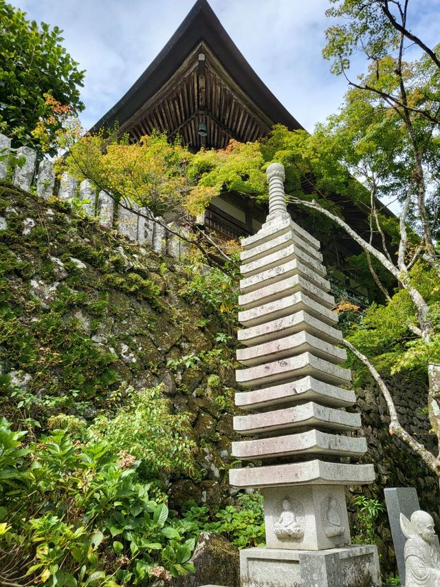 ✨ 國東半島｜在神佛結界中追浪！99%人不知道的藝術+溫泉孤島 ✨