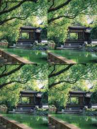 寧波火車站旁嘅隱藏王者月湖公園5A級美貌暴擊