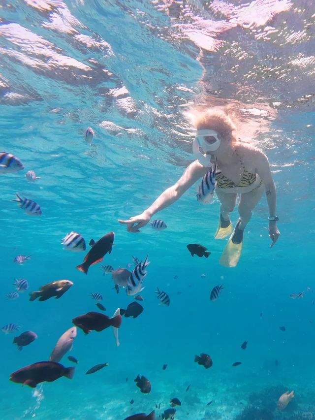 快來環灘島感受餵小魚的樂趣吧！