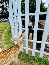 大理動物世界
