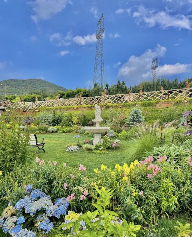 昆明呢度仲係盛花期🪻寶藏花園